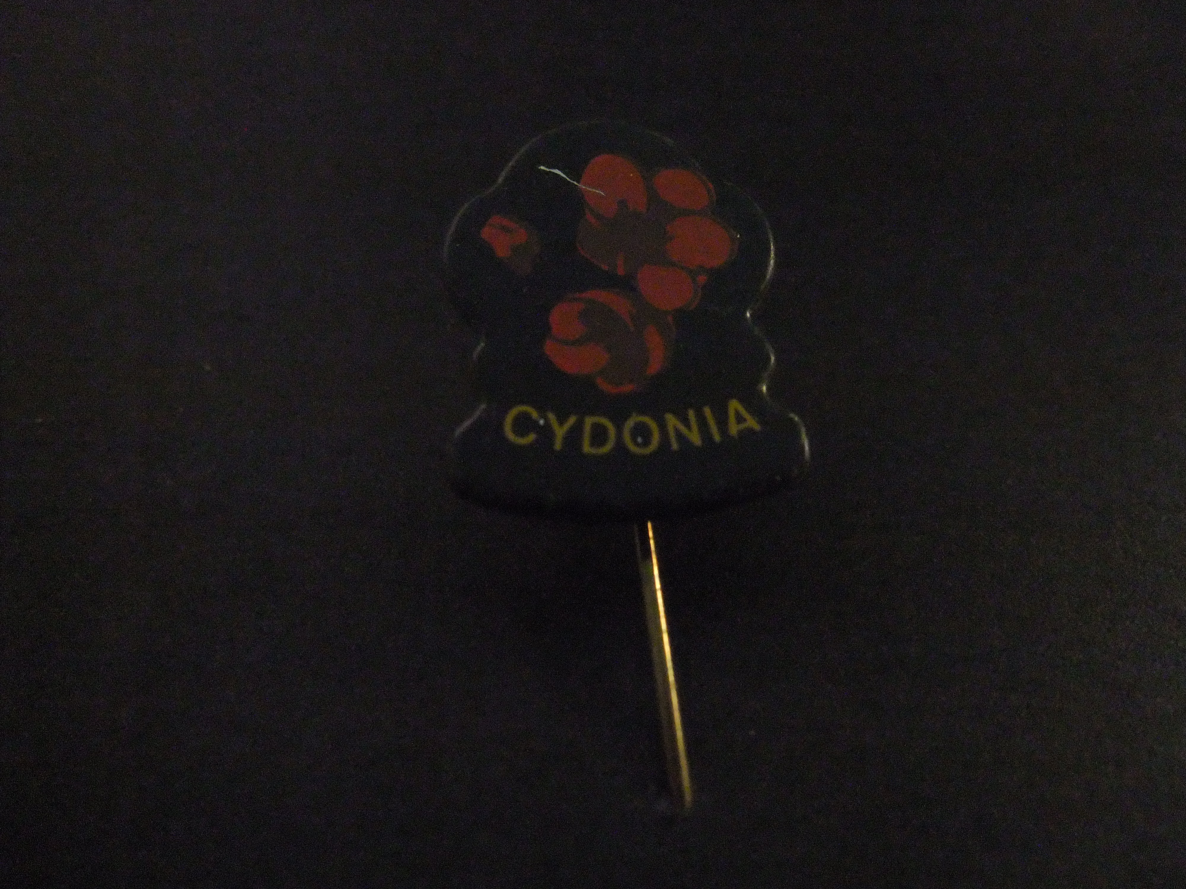Cydonia ( Japanse Kweepeer)